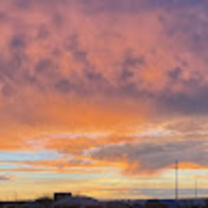 Meet your Posher, Mackenzie